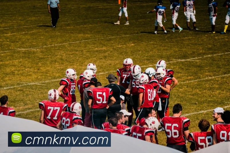 必一运动平台生态图