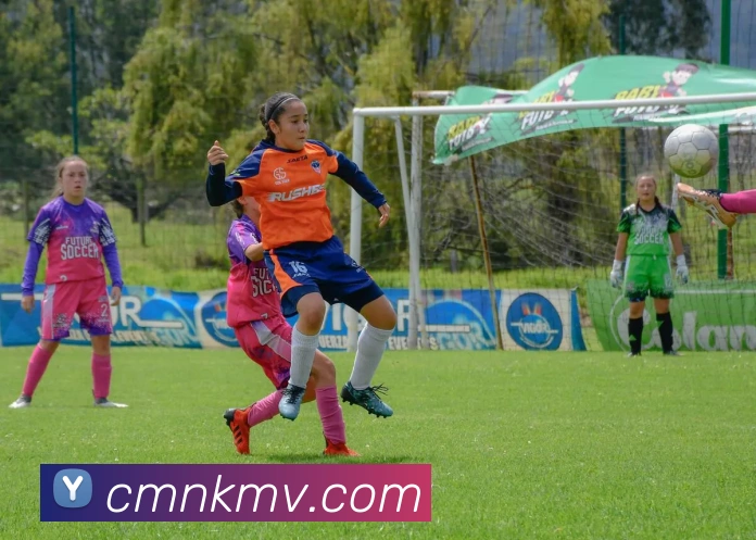 数据防护可视化